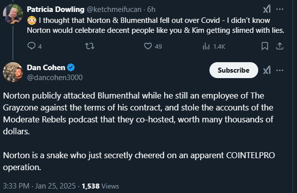 Danny Shaw Ben Norton Dan Cohen 2025-01-25 222433