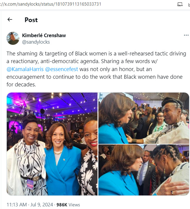 Kamala Harris race 2024-07-28 thjkY