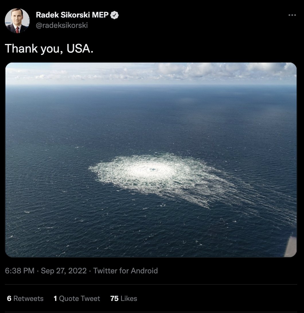 Radek Sikorski Nord Stream vmMWY