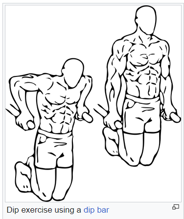 dip exercise 2026-04-30 1db80