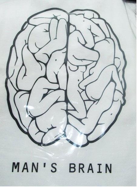 mens brain