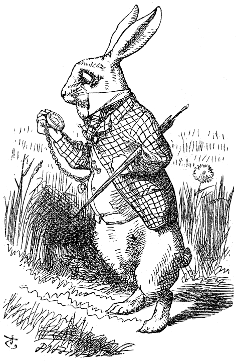 a white rabbit checking his pocket watch
