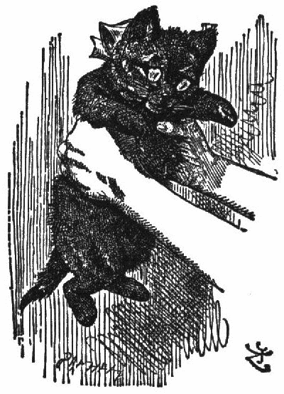 Alice holding a kitten