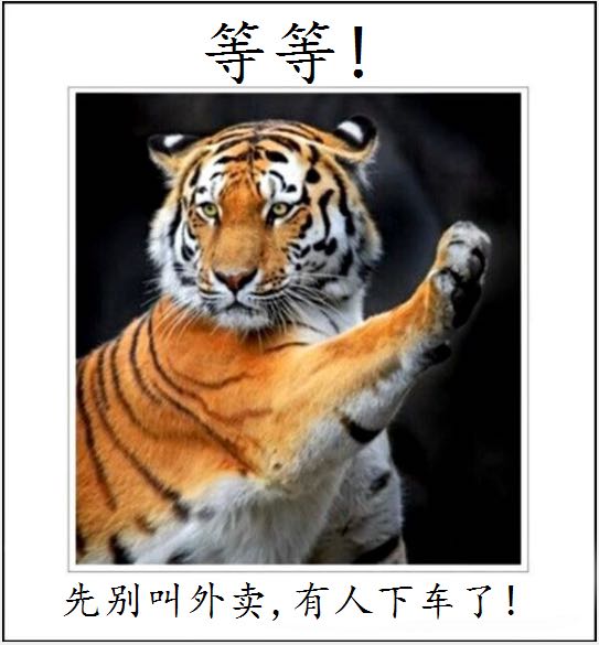 tiger eat woman in china 2016-07-23