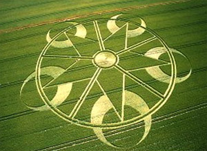crop-circle-13