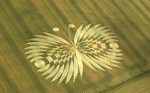 crop circle butterfly