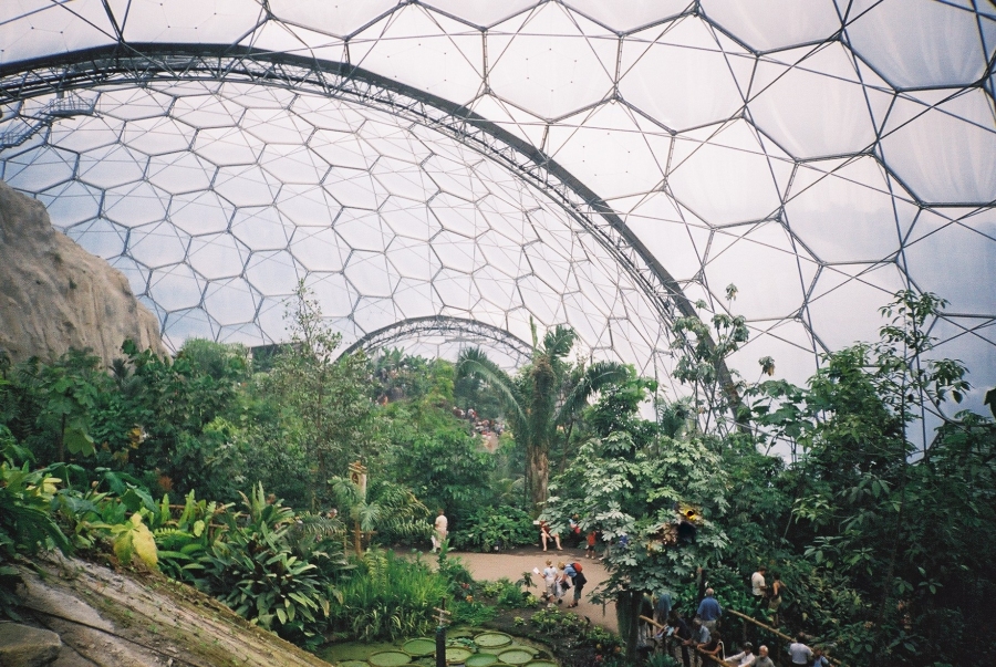 bio sphere interior