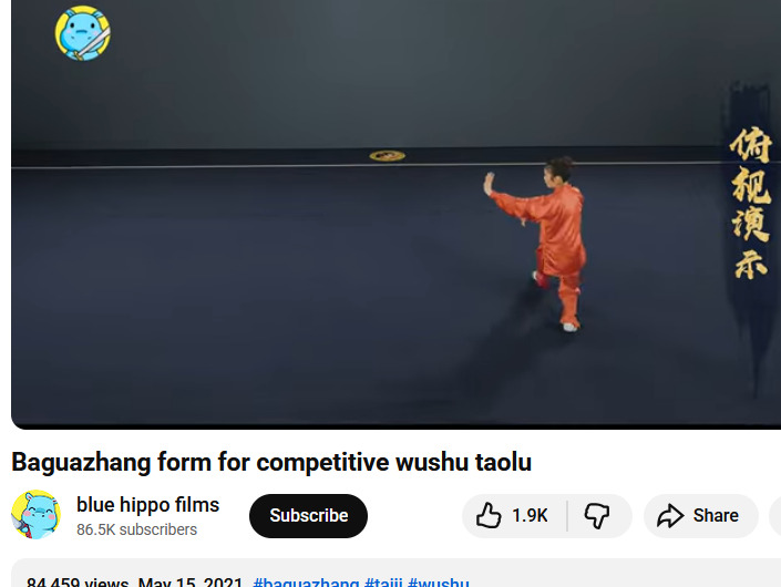 bagua palm 2026-01-21 13ec9