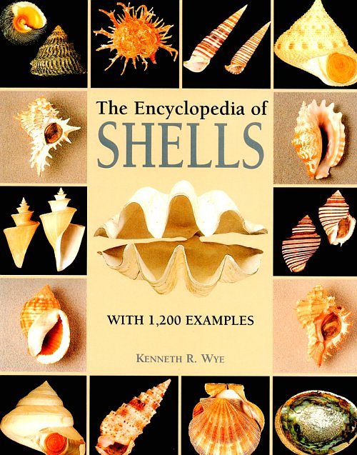encyclopedia of shells cover